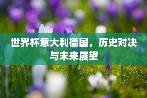 世界杯意大利德国，历史对决与未来展望金炬实业股份有限公司
