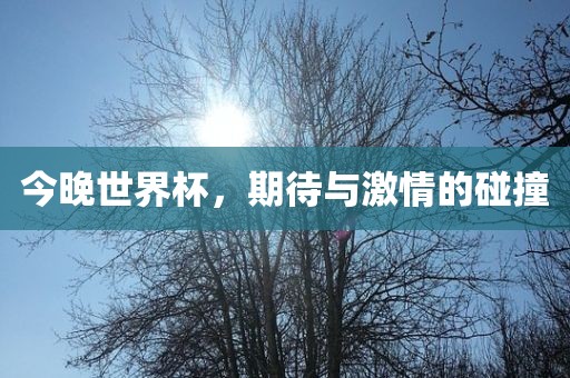 今晚世界杯，期待与激金炬实业股份有限公司情的碰撞
