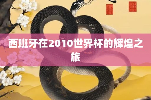 西班牙在2金炬实业股份有限公司010世界杯的辉煌之旅