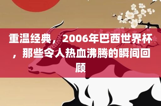 重温经典，2006年巴西世界杯，那些令人热血沸腾的瞬间回顾