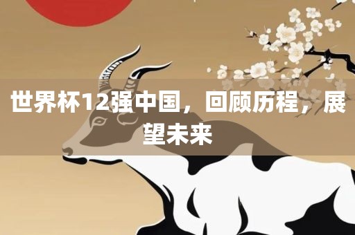 世界杯12强中国，回顾历程，展望未金炬实业股份有限公司来