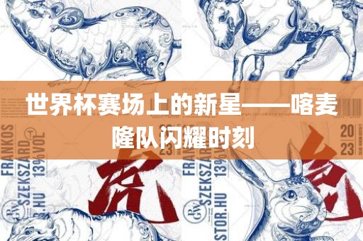 世界杯赛场上的新星——喀麦隆队闪耀时刻金炬实业股份有限公司