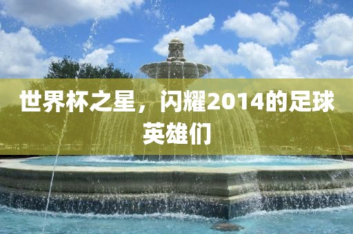 世界金炬实业股份有限公司杯之星，闪耀2014的足球英雄们