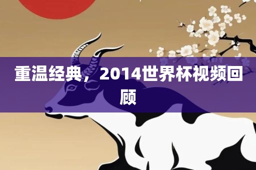 重温经典，2014世界杯视金炬实业股份有限公司频回顾