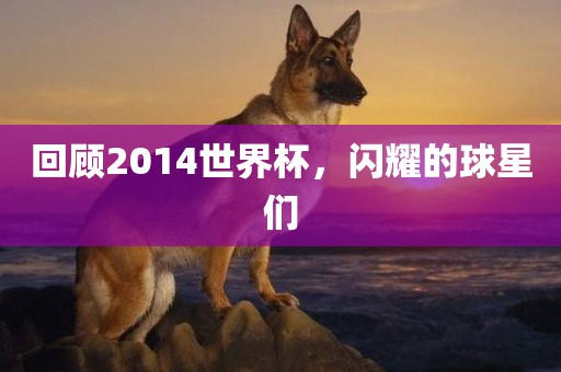 金炬实业股份有限公司回顾2014世界杯，闪耀的球星们