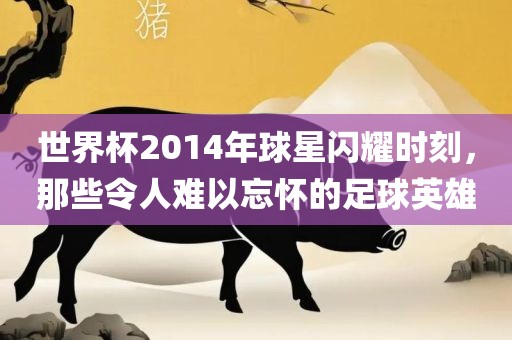 世界杯2014年球星闪耀时刻，那些令人难以忘怀的足球英金炬实业股份有限公司雄