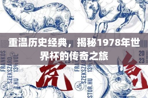重温历史经典，揭秘1978年世界杯的传奇之旅金炬实业股份有限公司