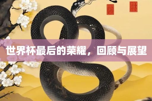 世界杯最后的荣耀，回顾与展望