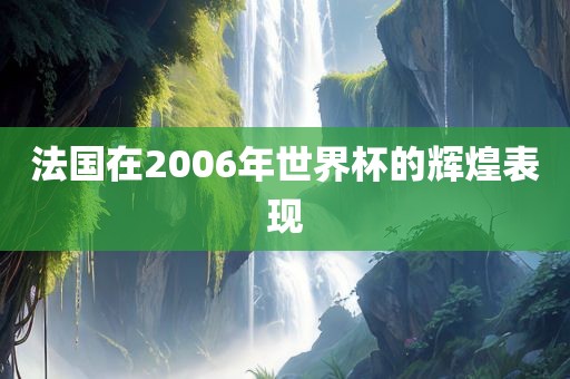 法国在2006年世界杯的辉煌表现金炬实业股份有限公司