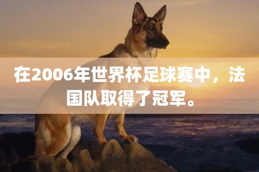 在2006年世界金炬实业股份有限公司杯足球赛中，法国队取得了冠军。