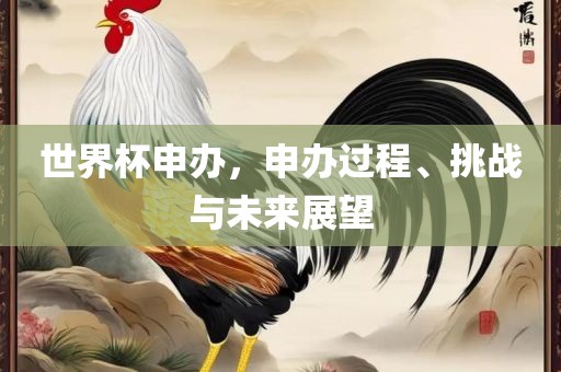 世界杯申办，申办过程、挑战与未来展望