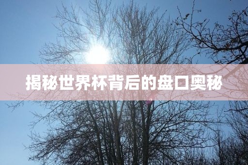 揭秘世界杯背后的盘口奥秘