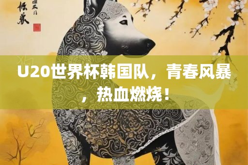 U20世界杯韩国队，青春风暴，金炬实业股份有限公司热血燃烧！
