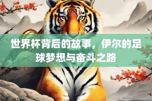 世界杯背后的故事，伊尔的足球梦想与奋斗之路
