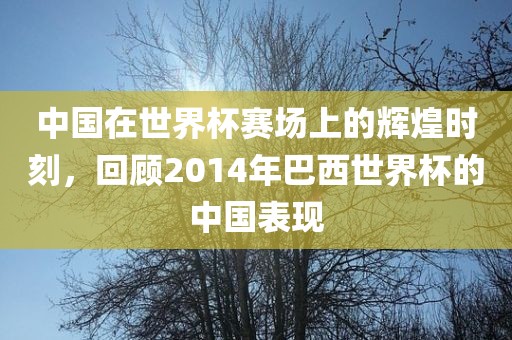 中国在世界杯赛场上的辉煌时刻，回顾2014年巴西世界杯的中国表现金炬实业股份有限公司