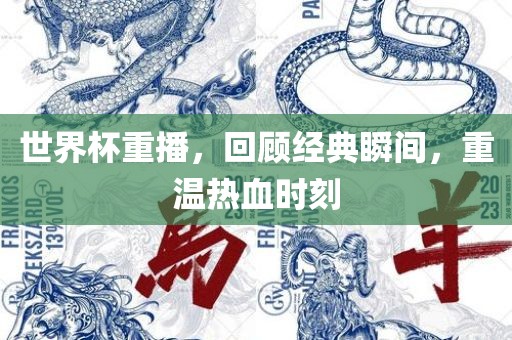 世界杯重播，回顾经典瞬间，重温热血时刻金炬实业股份有限公司