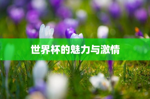 热门事件