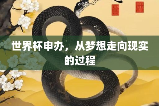 世界杯申办，从梦想走向现实的过程