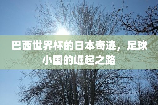巴西世界杯的日本奇迹，足球小国的崛起之路