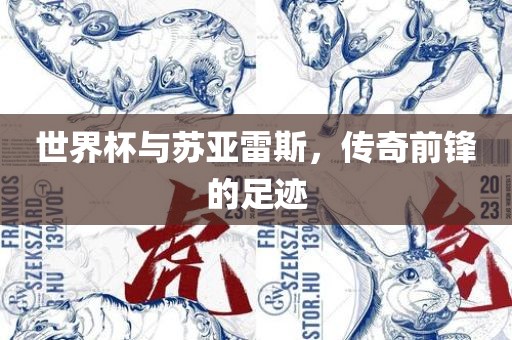 世界杯与苏亚雷斯，传奇前锋的足迹