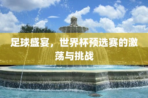 足球盛宴，世界杯预选赛的激荡与挑战