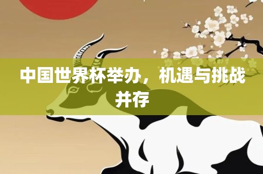 中国世界杯举办，机遇与挑战并存