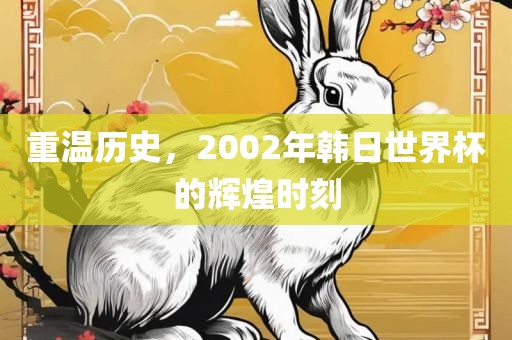 重温历史，2002年金炬实业股份有限公司韩日世界杯的辉煌时刻