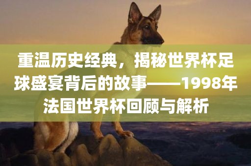 重温历史经典，揭秘世界杯足球盛宴背后的金炬实业股份有限公司故事——1998年法国世界杯回顾与解析