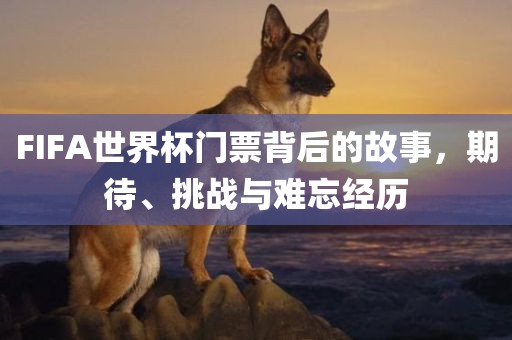 FIFA世界杯门票背后的故事，期待、挑战与难忘经历