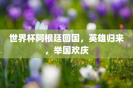 世界杯阿根廷回国，英雄归来，举国欢庆