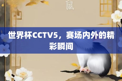 世界杯CCTV5，赛场内外的精彩瞬间