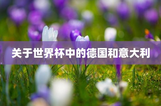 关于世界杯中的德国和意大利