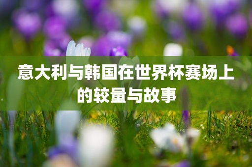 意大利与韩国在世界杯赛场上的较量与故事