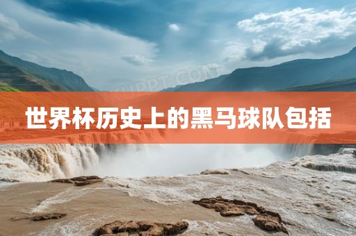 世界杯历史上的黑马球队包括金炬实业股份有限公司