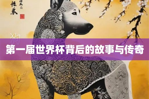 第一届世界杯背后的故事与传奇