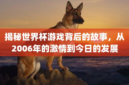 揭秘世界杯游戏背后的故事，从2006年的激情到今日的发展