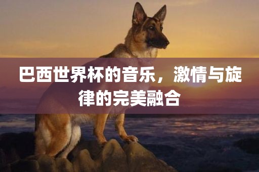巴西世界杯的音乐，激情与旋律的完美融合