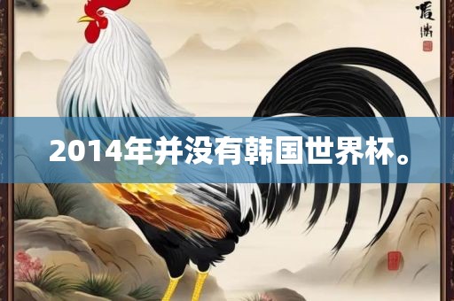 2014年并没有韩国世界杯。