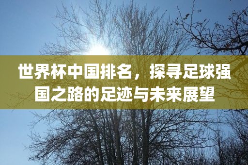世界杯中国排名，探寻足球强国之路的足迹与未来展望