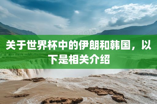 关于世界杯中的伊朗和韩国，以下是相关介绍