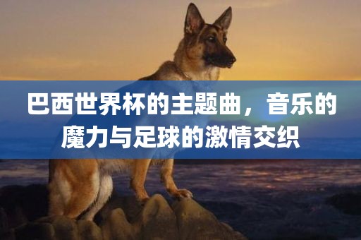 巴西世界杯的主题曲，音乐的魔力与足球的激情交织