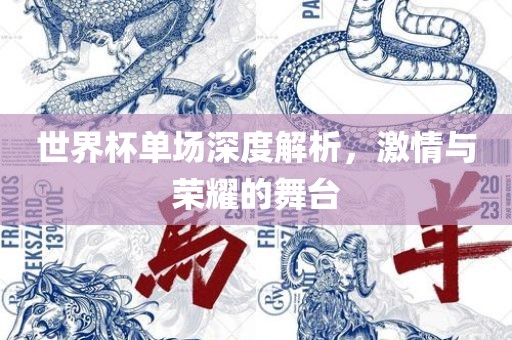 世界杯单场深度解析，激情与荣耀的舞台