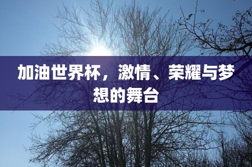加油世界杯，激情、荣耀与梦想的舞台