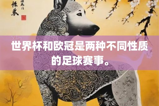 世界杯和欧冠是两种不同性质的足球赛事。