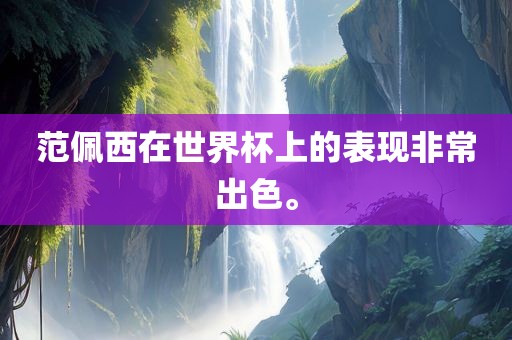 范佩西在世界杯上的表现非常出色。