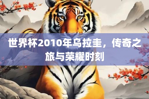 世界杯2010年乌拉圭，传奇之旅与荣耀时刻