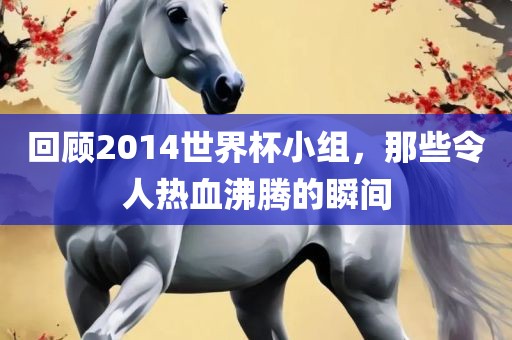 回顾2014世界杯小组，那些令人热血沸腾的瞬间
