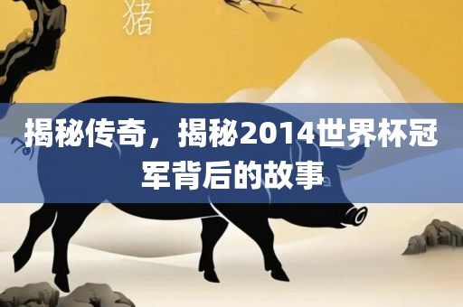 揭秘传奇，揭秘2014世界杯冠军背后的故事