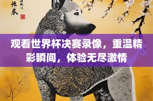 观看世界杯决赛录像，重温精彩瞬间，体验无尽激情