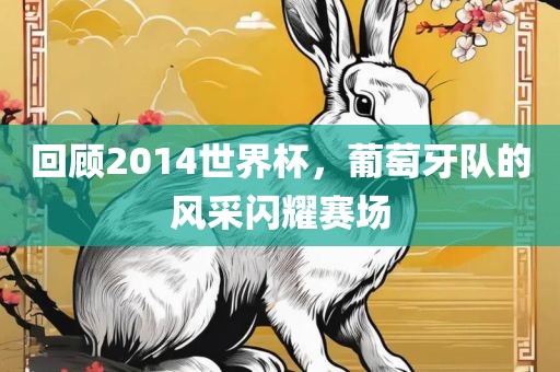 回顾2014世界杯，葡萄牙队的风采闪耀赛场